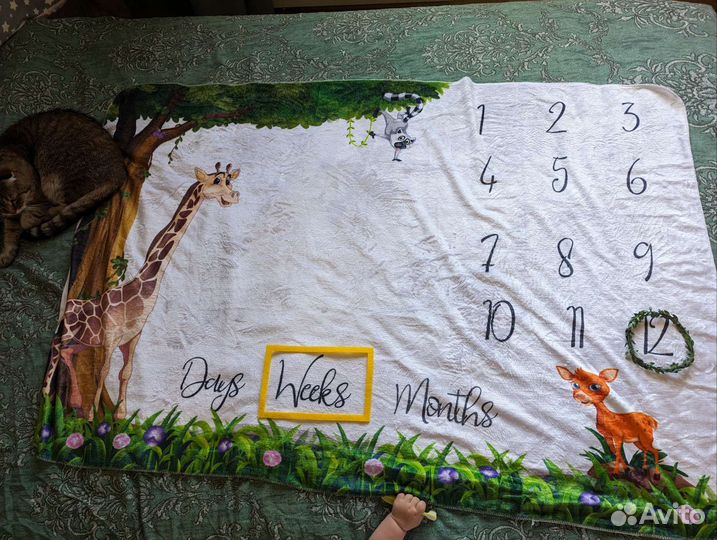 Фотоплед по месяцам как новый