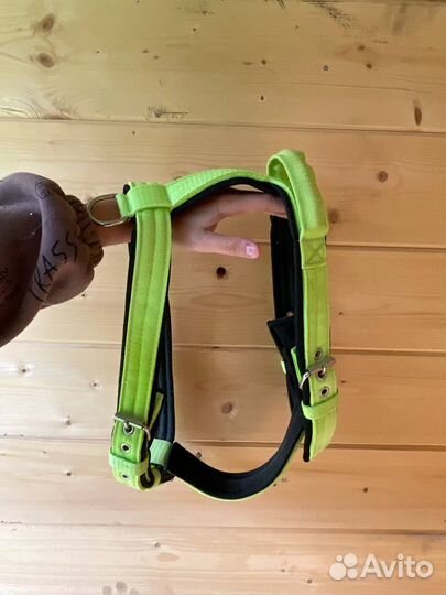 Амуниция для собак