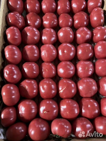 Овощи фрукты