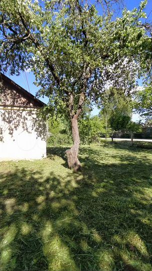 Дом 50 м² на участке 10 сот.