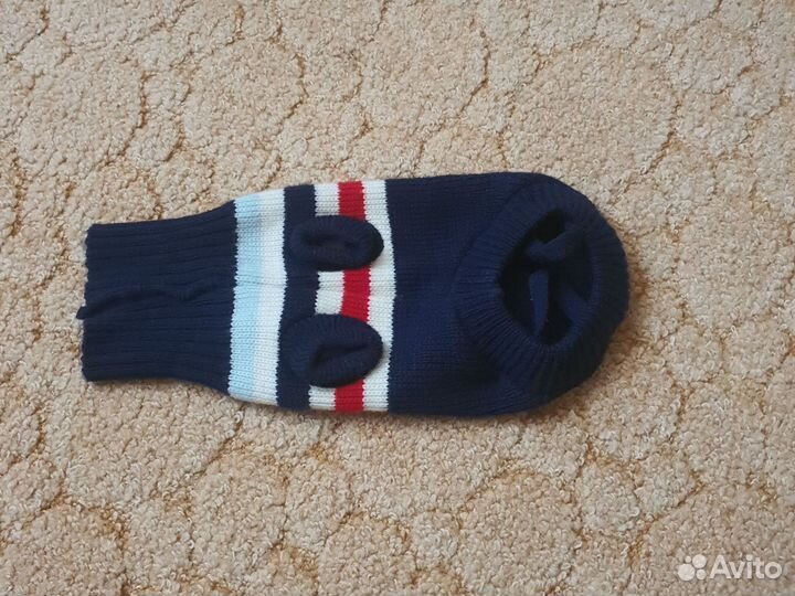 Одежда для собак