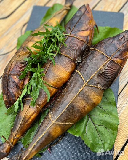 Терпуг горячего копчения