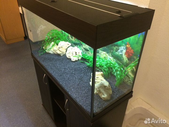 Аквариум