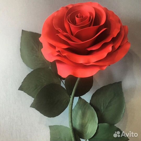 Ростовые цветы