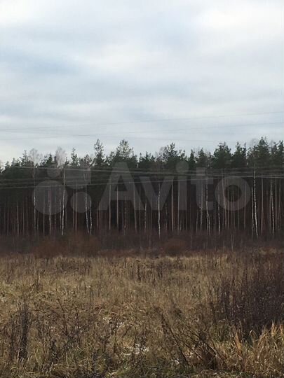 Участок 15 сот. (ИЖС)