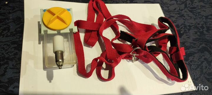 Шлейка для маленькой собаки, поильник для кролика