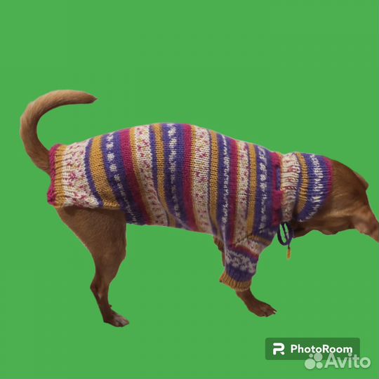 Одежда вязаная для животных