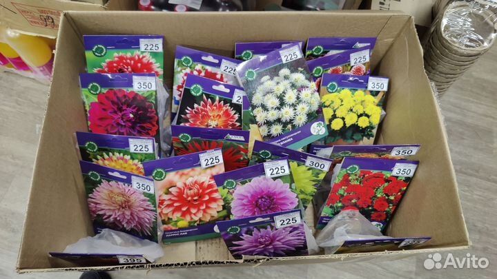 Клубни цветов