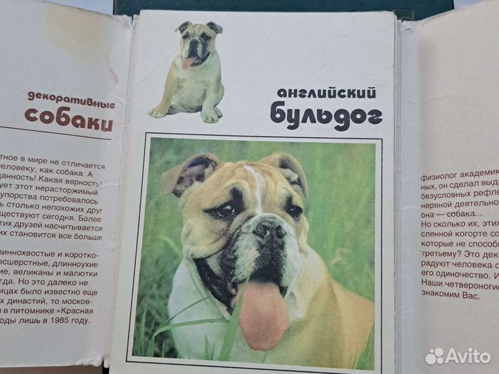 Открытки СССР