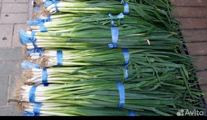 Инвестор Партнер Компаньон в бизнес нужен