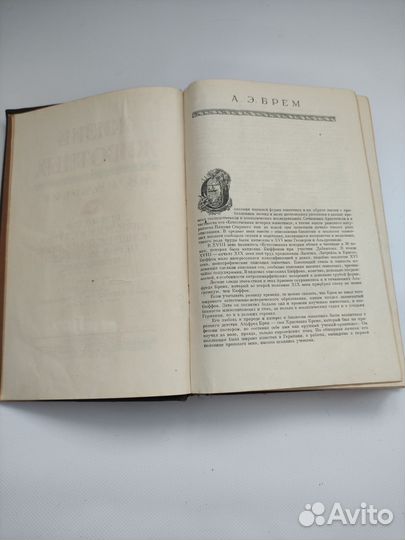 Жизнь животных по А.Э. Брему 1948 год