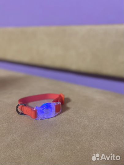 Ошейник для собак