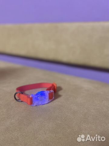 Ошейник для собак