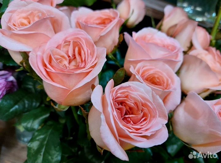 Букет из роз