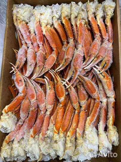 Клешни краба стригуна