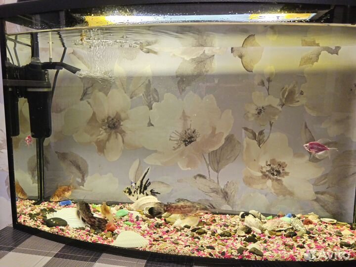 Аквариум с рыбками бу