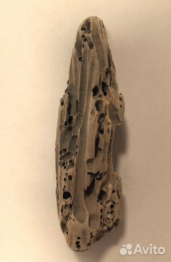 Коряга для декора дрифтвуд