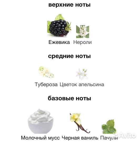 Духи Signorina Misteriosa