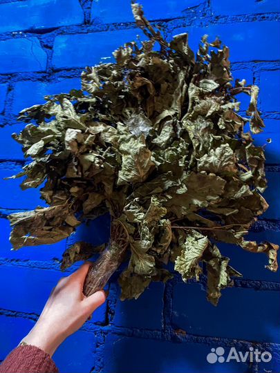 Веники дубовые и березовые