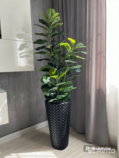 Искусственное декоративное дерево фикус Лирата