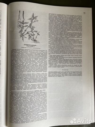 Атлас ареалов и ресурсов лекарственных растений