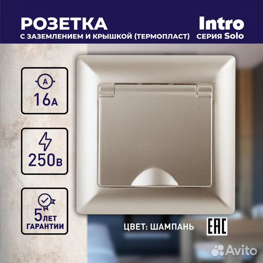 Б0043322 4-203-04 Intro Розетка 2P+E Schuko с крыш