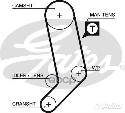 5323XS 122x26.5 Ремень грм 5323XS Gates