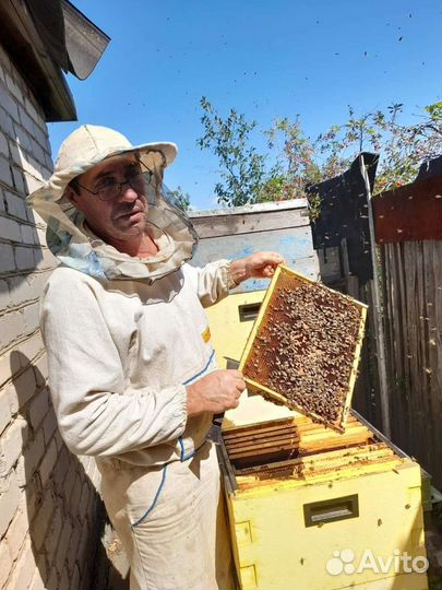 Мед,продукты пчеловодства