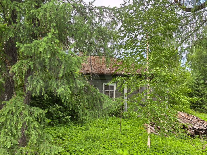 Дом 299,5 м² на участке 56,4 сот.