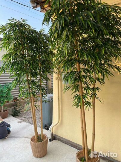 Искусственные деревья