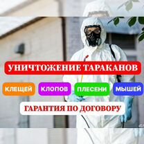 Уничтожение клопов тараканов блох муравьёв мышей