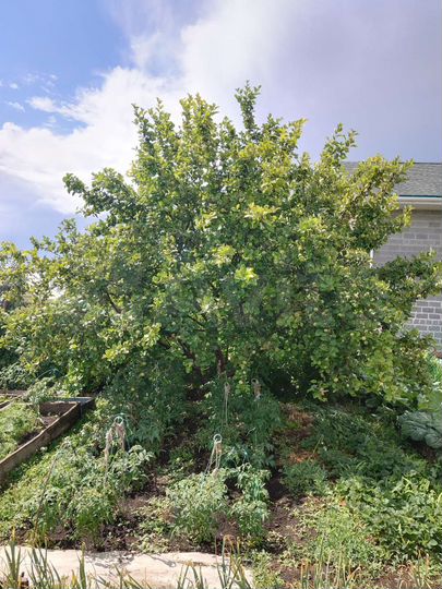 Дача 18 м² на участке 4 сот.