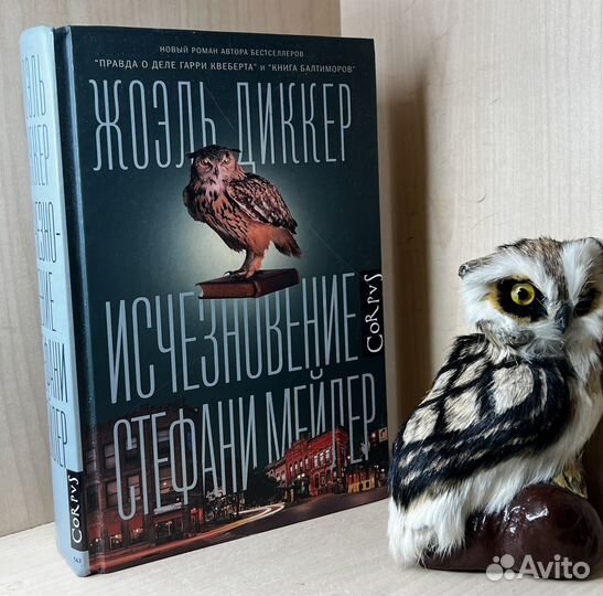 Диккер Ж. Исчезновение Стефани Мейлер. 2019
