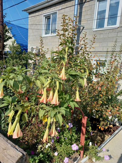 Коттедж 170,6 м² на участке 4 сот.