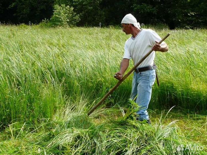 Покос травы.Вспашка огорода мотоблоком.С душой