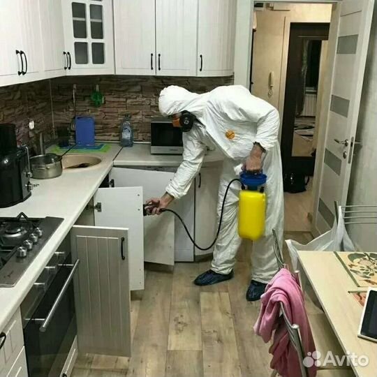 Уничтожение плесени, тараканов, клопов
