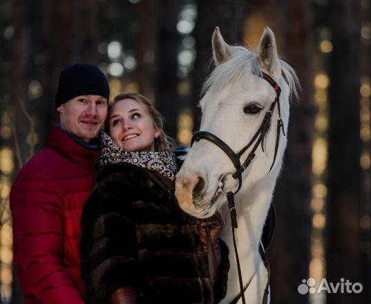 Сертификат на фотосессию. Конная прогулка