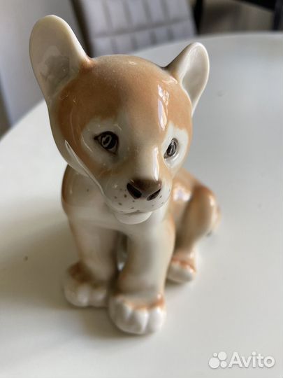 Тигренок лфз