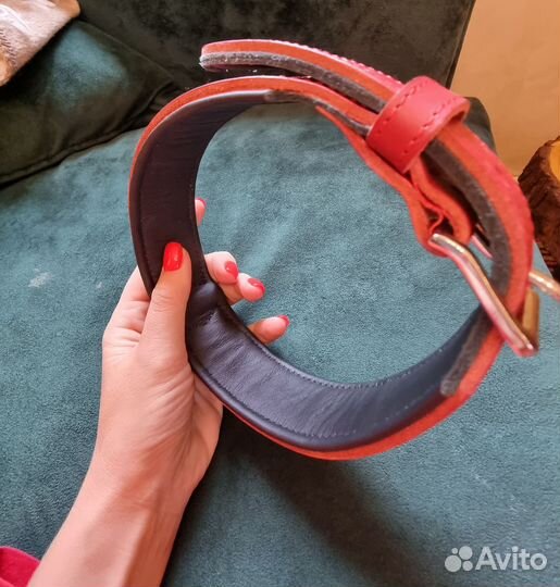 Ошейник для собак hunter