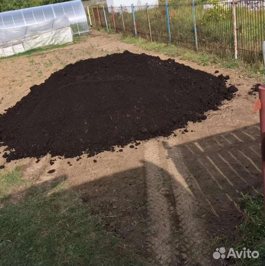 Чернозем