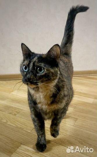 Девочка Маруся ищет дом