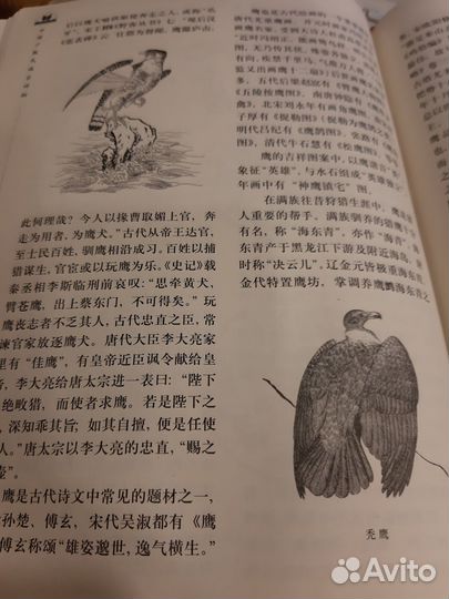 Книга китайское прикладное искусство