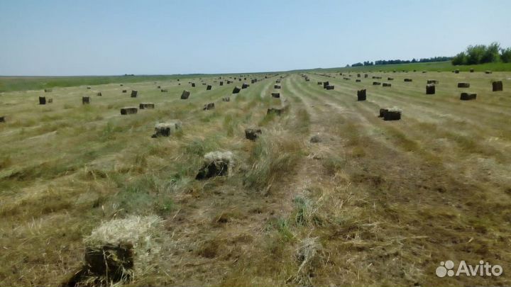 Сено в тюках