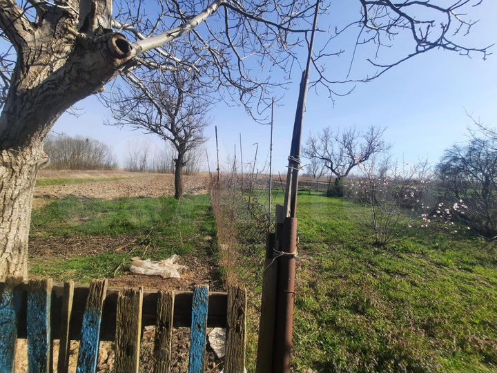 Дом 42 м² на участке 25 сот.