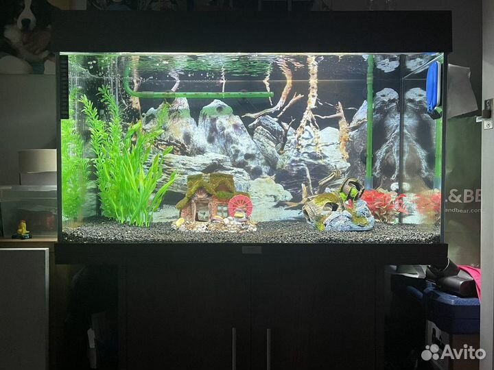 Аквариум Juwel Rio 125