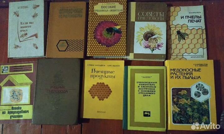 Охота и рыбалка, спорт футбол дайвинг