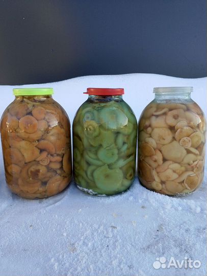 Рыжики, грузди, маслята, белые