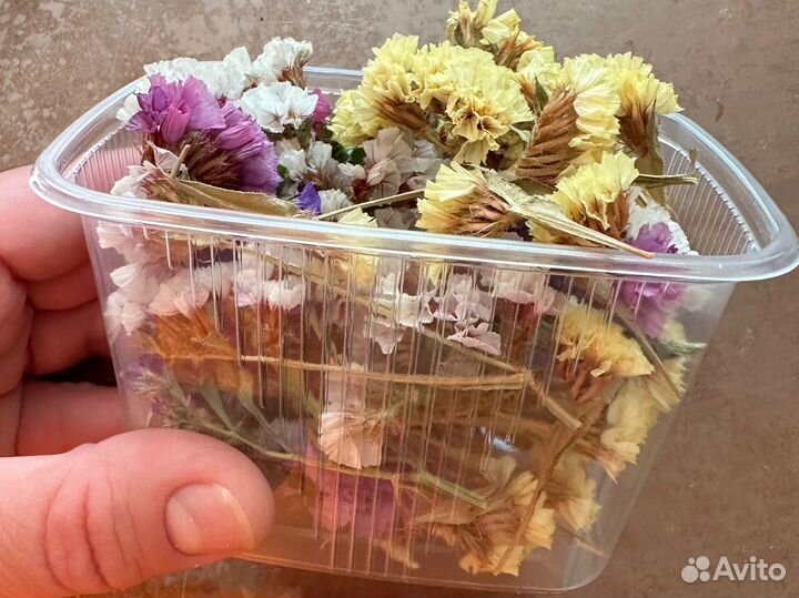 Сухоцвет статица (микс цветов)