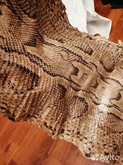 Шкура питона (натуральная кожа змеи)