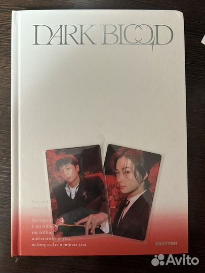 Альбом enhypen